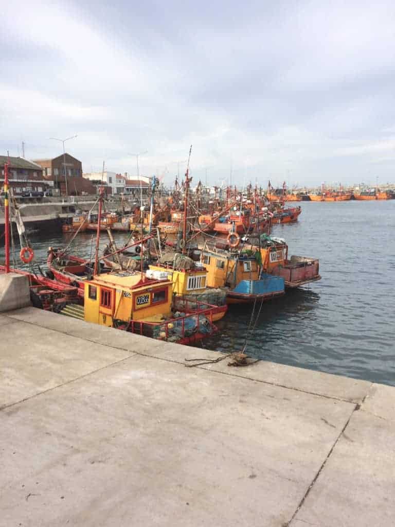 Colorful fishing boats docked at a harbor on a cloudy day, with buildings in the background—an inviting scene often featured in any Argentina travel guide.