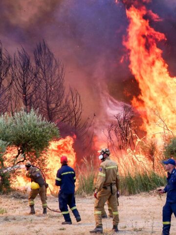 Firefighters in protective gear work to control a large outdoor fire. Flames and smoke rise from burning vegetation and trees. The area is surrounded by grass and shrubs, and the sky is obscured by smoke.