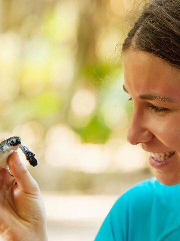 A person with brown hair is smiling at a small turtle they are holding in their hand. The person is wearing a teal shirt and has a blue hair tie. The background is blurred, with hints of greenery and sunlight.