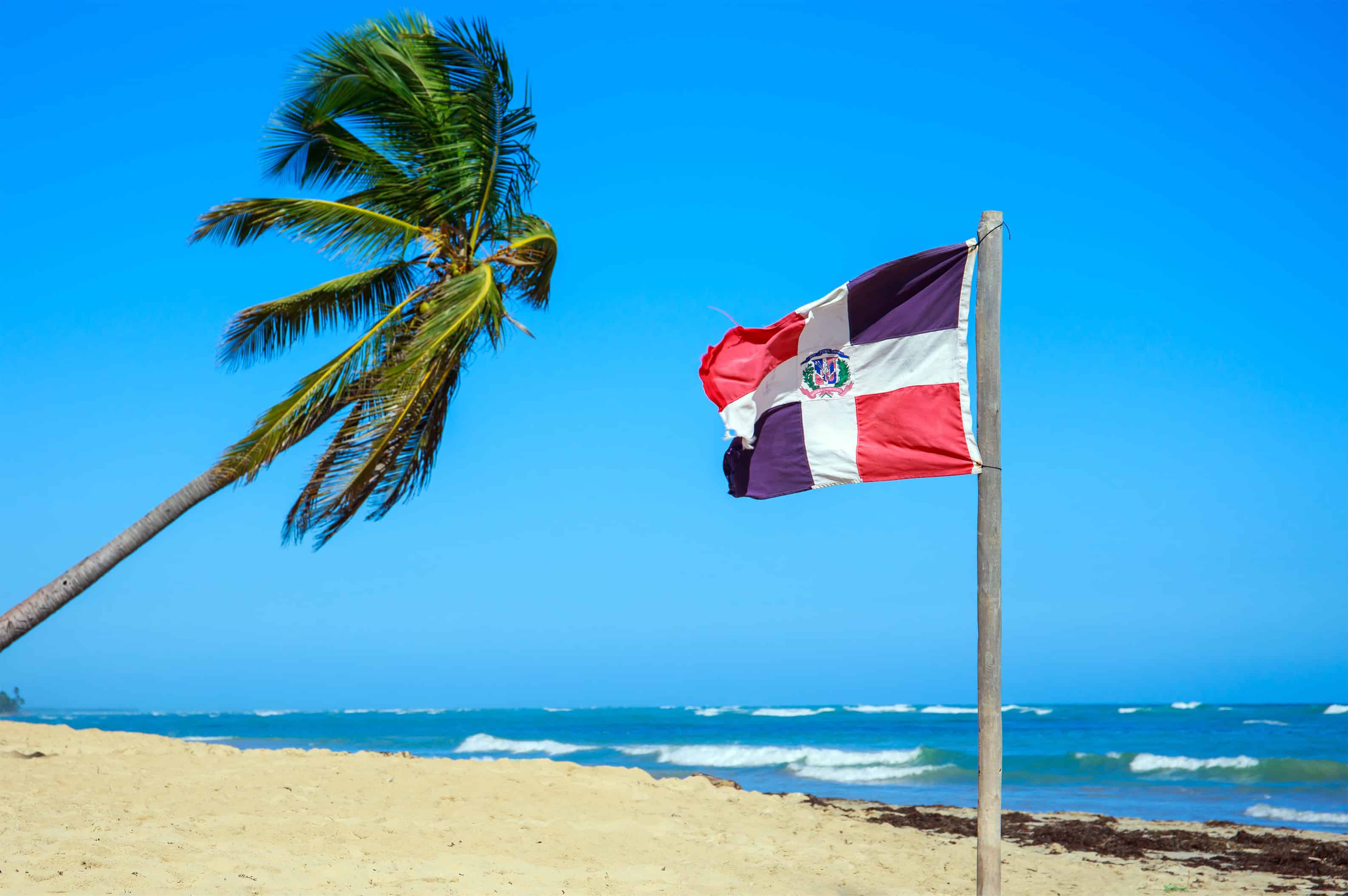 A Dominican Republic flag on a pole stands next to a leaning palm tree on a sandy beach with blue ocean waves and a clear sky—the perfect setting to enjoy Dominican Republic food and tropical cuisine by the shore.