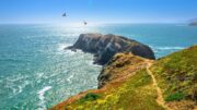 Top 10 Places With the Best Birdwatching Spots in the U.S. - We Travel ...