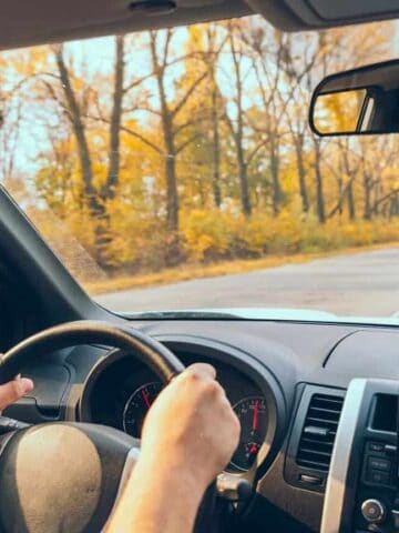 A person is driving a car on a two-lane road lined with autumn trees. The driver’s hands are on the steering wheel and a smartphone is mounted on the dashboard showing GPS navigation.