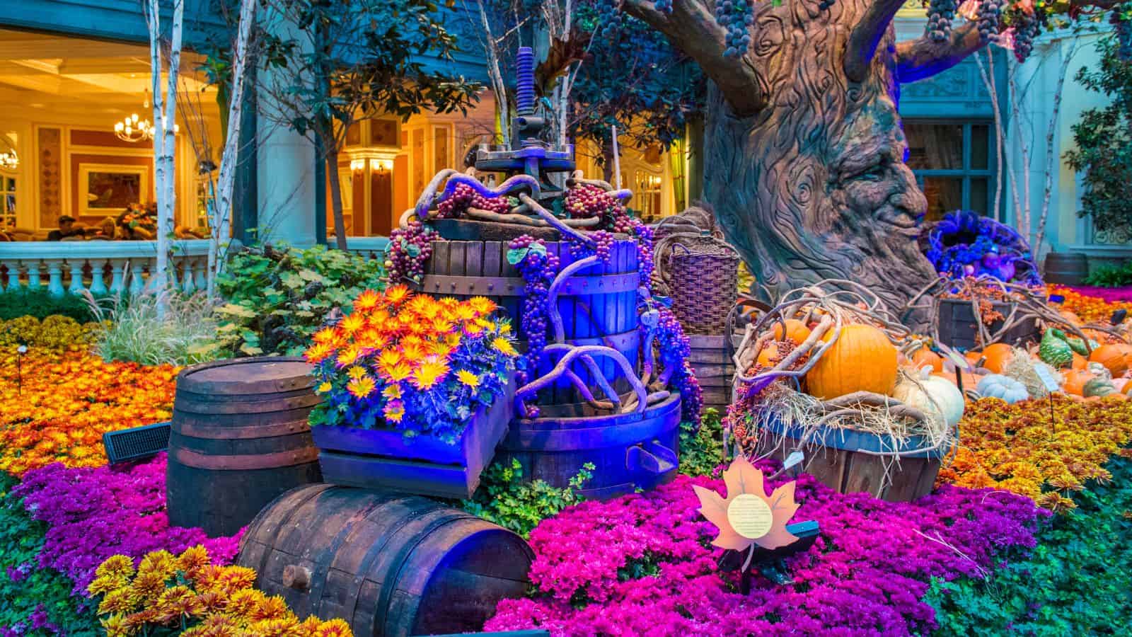 A garden display features wooden barrels, baskets of grapes, pumpkins, orange and purple flowers, and a large tree with a carved face, set against a backdrop of a building with lit windows.