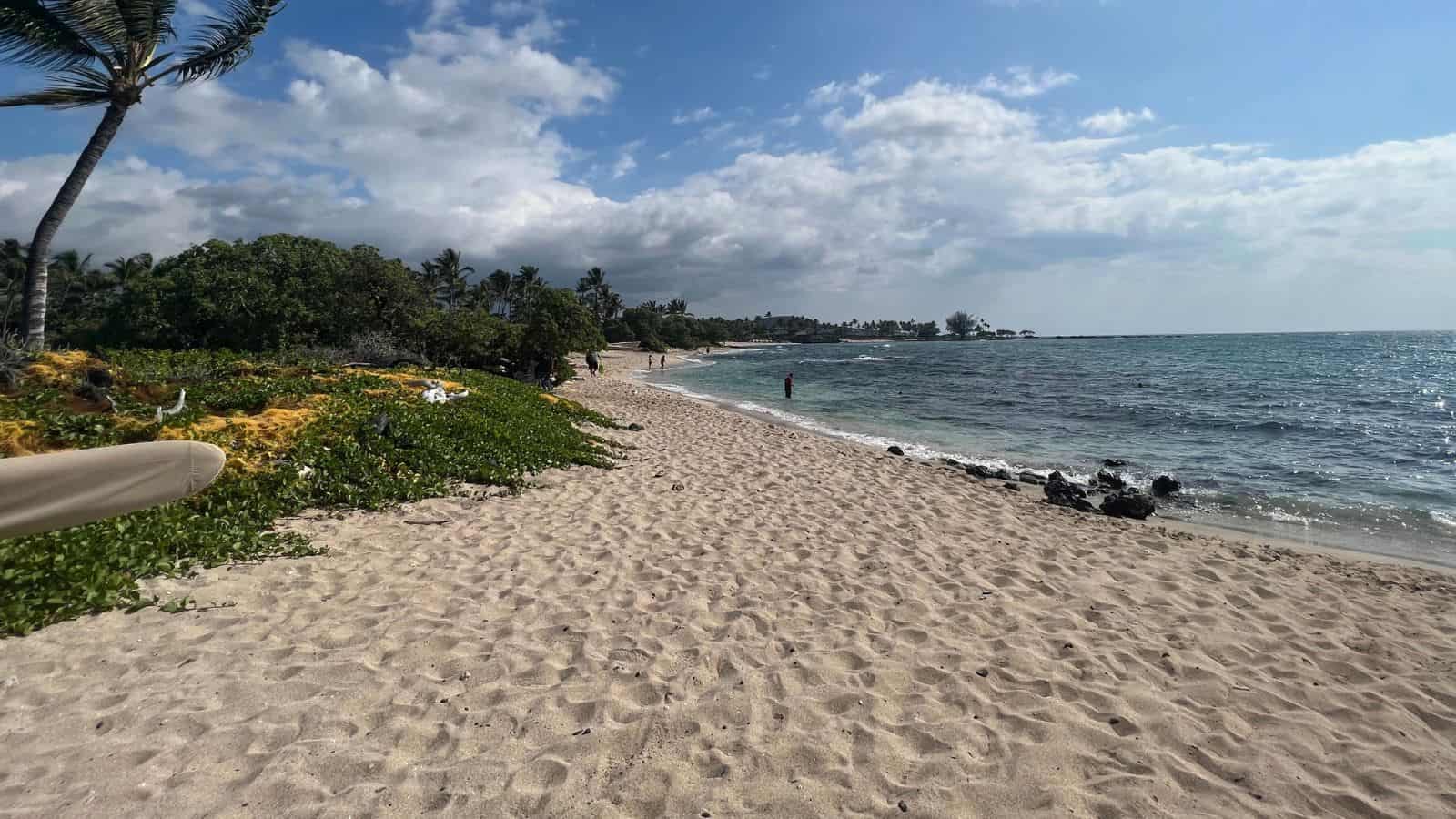 Sandy beach with scattered rocks near the water, green vegetation on the left, a few people walking in the distance, and partly cloudy skies. The ocean waves are gentle and a palm tree is visible on the left side.