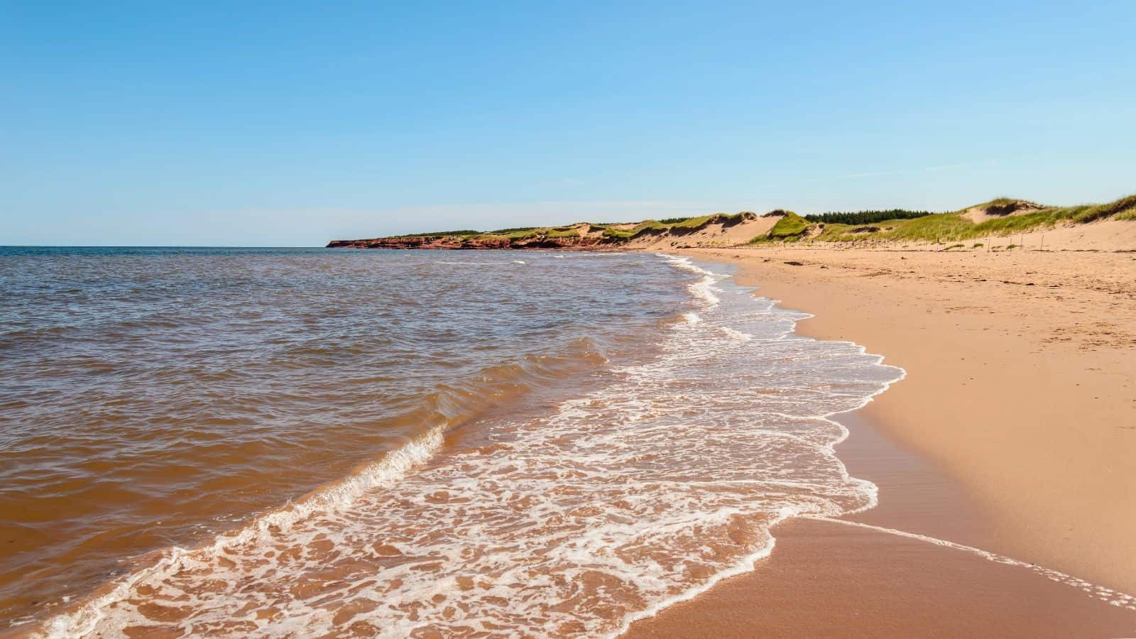 A sandy beach with gentle waves washing ashore under a clear blue sky. Low grassy dunes are visible in the background along the coastline. The scene appears calm and empty of people.