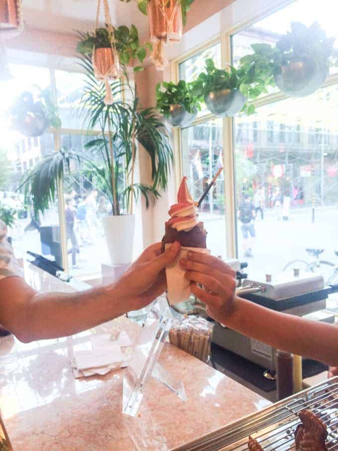 A person hands a chocolate-covered cone with pink and white swirled ice cream and a cookie stick to another person inside a bright shop with large windows and green hanging plants.