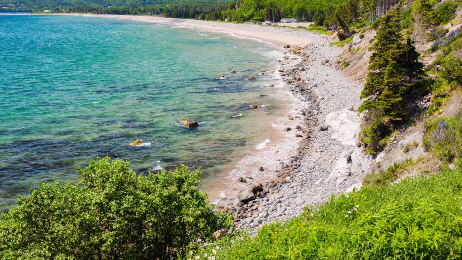 Rocky shoreline meets turquoise water along a tree-lined coast, with a sandy beach curving into the distance. Dense green foliage covers the hillside in the foreground and forest stretches along the horizon.