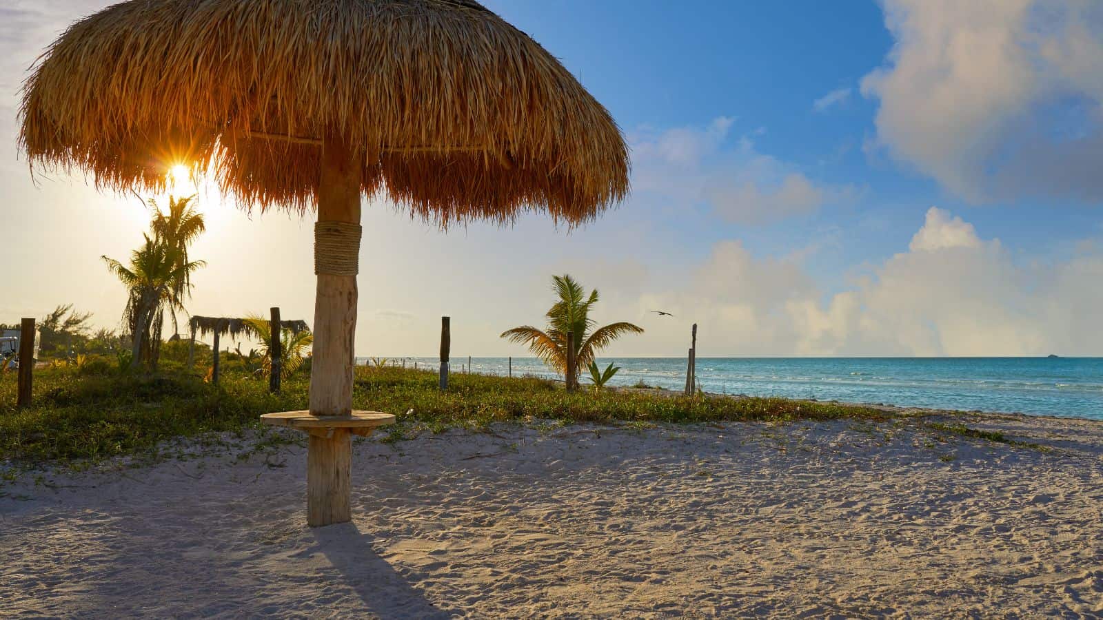 A beach scene with a thatched umbrella, sand, and sparse vegetation. The sun is low in the sky, casting shadows. The ocean and blue sky with scattered clouds are visible in the background.