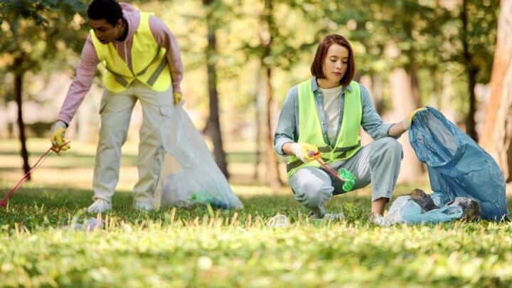 11 Countries That Prove a Clean Environment Is Actually Possible - We ...
