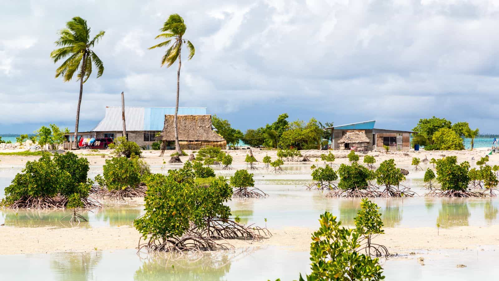 Two small houses stand on a sandy, partially flooded area with scattered mangroves. Two tall palm trees are nearby, and the sky is cloudy. The area appears tropical and prone to rising water levels.