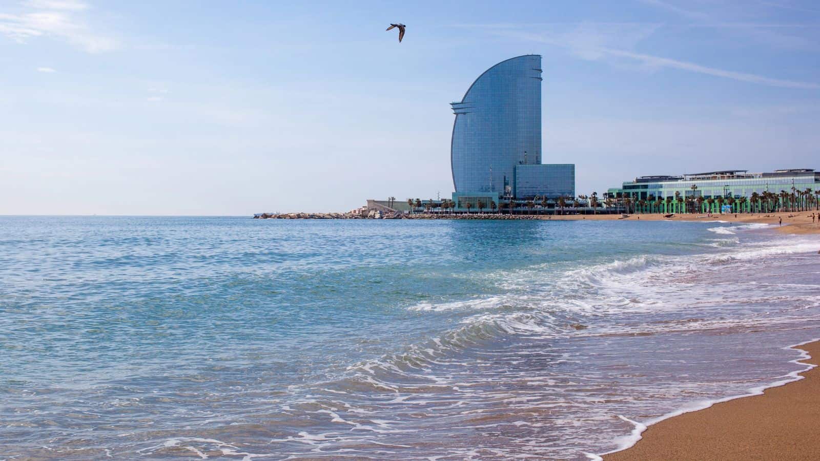 A sandy beach with gentle waves in the foreground, a modern glass hotel building near the shoreline in the background, and a bird flying in the sky above the water.