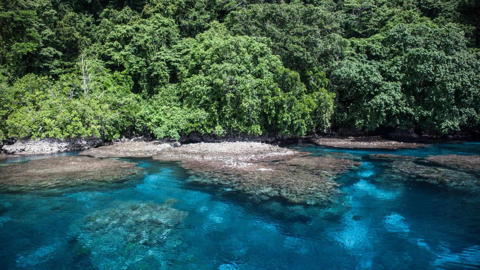 Clear turquoise water with visible coral reefs near the surface, bordered by a dense line of green tropical trees—this idyllic scene is increasingly threatened in disappearing countries facing the risk of vanishing beneath rising seas.