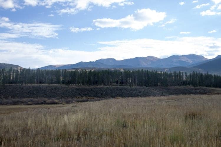 A grassy field leads to a line of tall pine trees with mountains in the background under a partly cloudy blue sky.