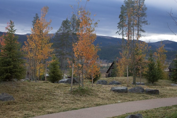 A paved path curves through a grassy area with scattered rocks and trees showing autumn colors, with forested hills and a cloudy sky in the background.
