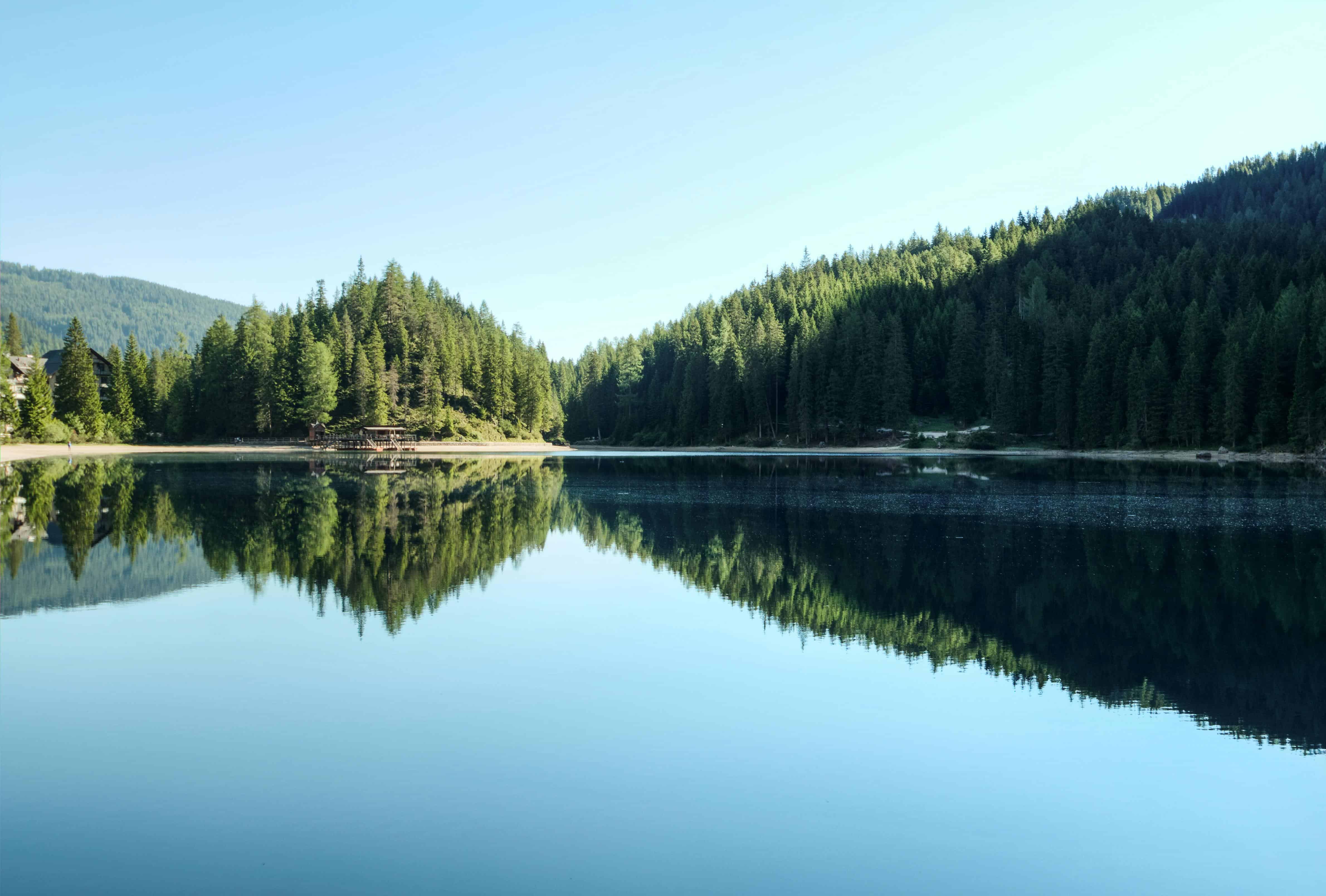 A calm lake reflects surrounding pine-covered hills and a clear blue sky, creating a symmetrical, mirror-like image—perfect for peaceful lake reads amidst the dense forest covering most of the landscape.