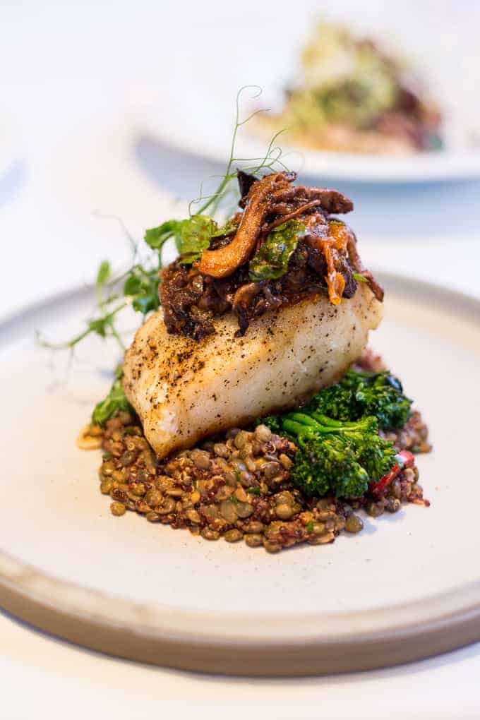 A fillet of seasoned fish sits on a bed of lentils and broccolini, topped with sautéed mushrooms and greens, served on a white plate.