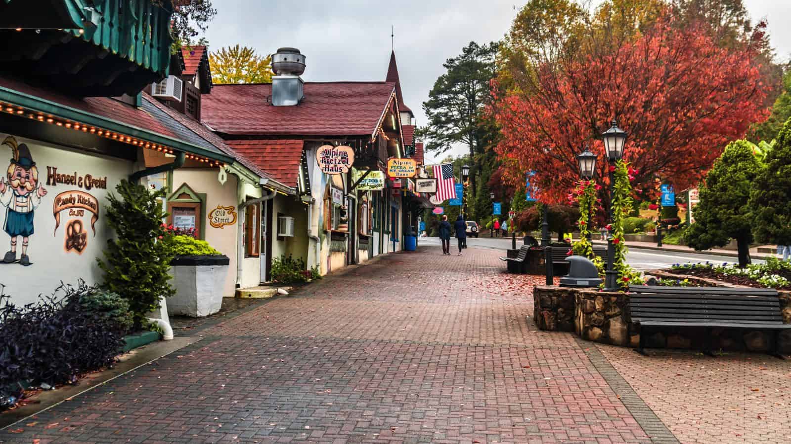 A pedestrian street lined with shops featuring Bavarian-style architecture evokes the charm of Europe, while autumn trees and cozy benches invite travelers to experience the unique blend found in many American towns.