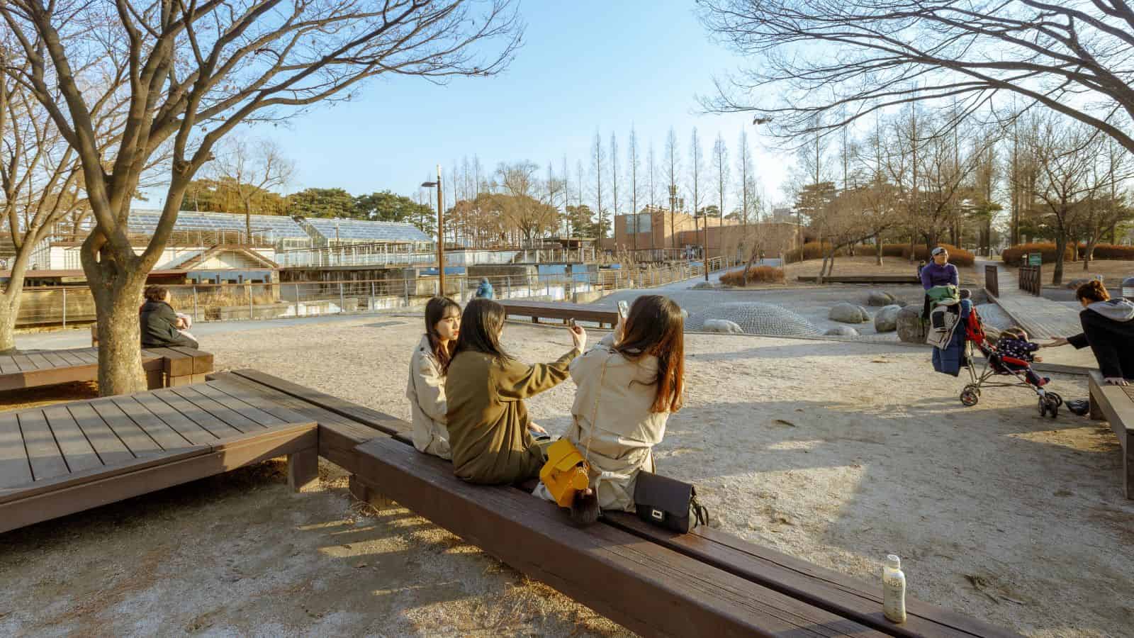 Three people sit on wooden benches in a park, with trees, a pond, and other visitors in the background.