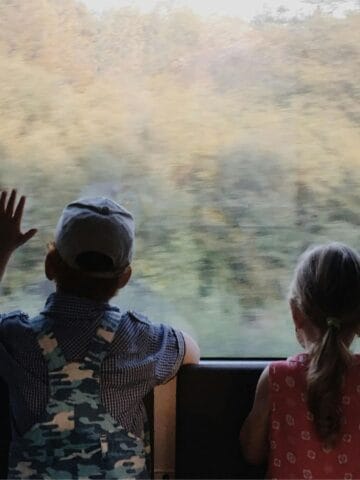 Two young children, one in overalls and a cap, the other in a pink dress with a ponytail, sit side by side on a train ride, gazing out the window at blurred trees—a heartwarming moment of train travel.