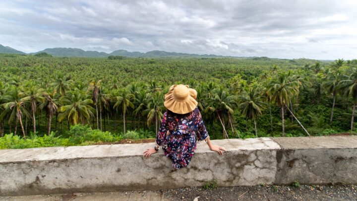 A woman in a sun hat sits on a ledge, overlooking a vast palm tree forest under a cloudy sky.