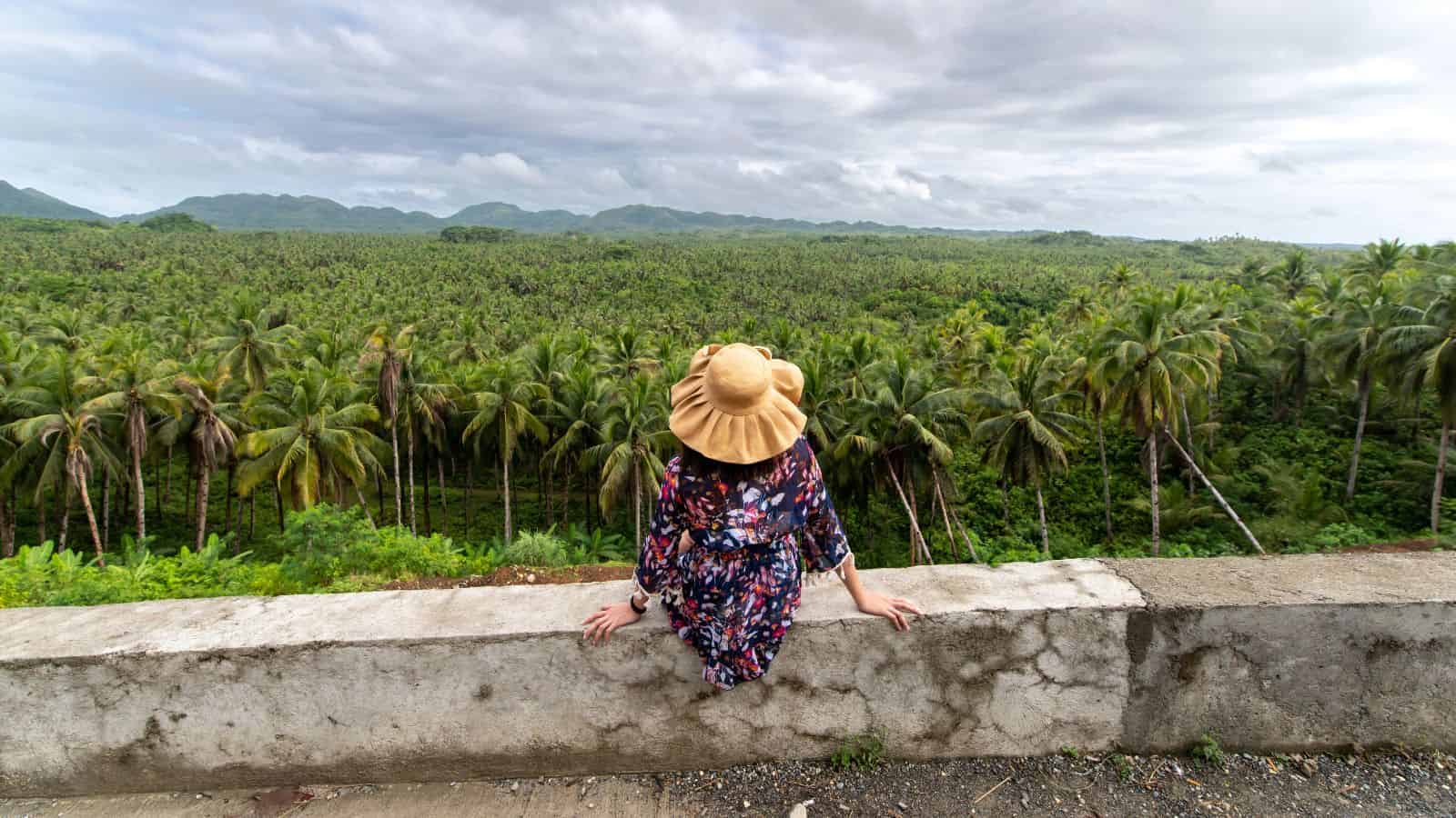 A woman in a sun hat sits on a ledge, overlooking a vast palm tree forest under a cloudy sky.