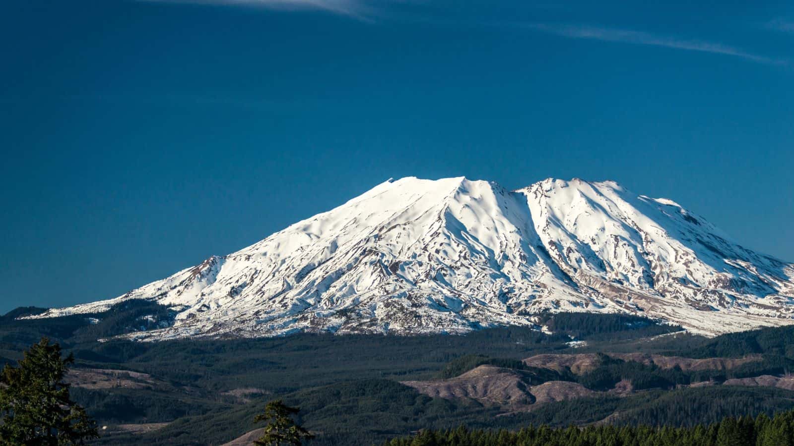 Snow-covered mountain with a rugged summit under a clear blue sky, surrounded by green forest at its base.