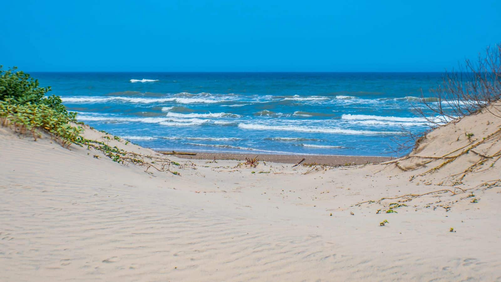A sandy path leads through dunes with sparse vegetation toward a blue ocean under a clear sky. Waves break gently near the shore, and the scene is bright and calm.