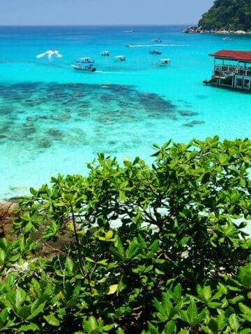 Clear turquoise water with rocks visible beneath the surface, green foliage in the foreground, several boats in the sea, and a red-roofed pier structure extending over the water near an island.