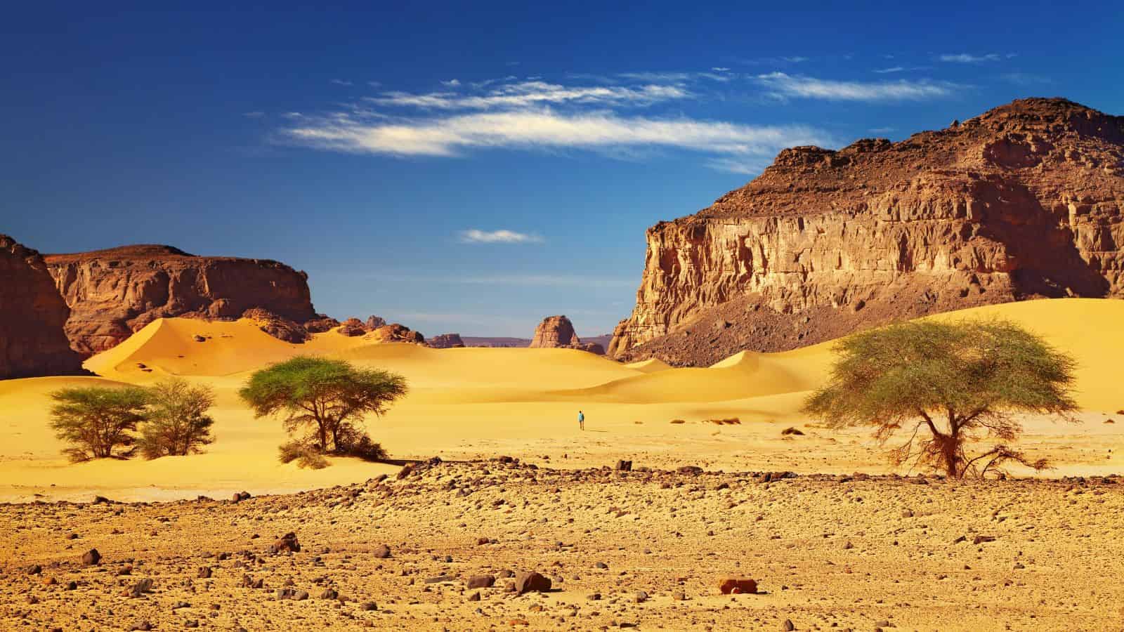 Vast desert landscape with rocky cliffs, sand dunes, scattered trees, and a clear blue sky.