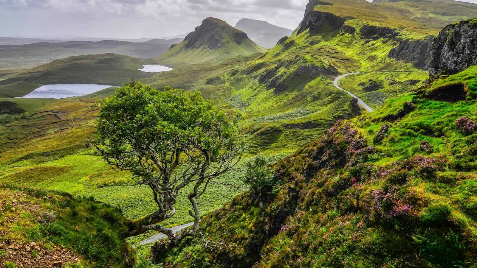 A winding road through green hills with a lake and rocky cliffs under a cloudy sky.