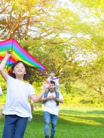 A family of four is outdoors on a grassy field. A child in front holds a colorful kite, followed by a woman, a man carrying a younger child on his shoulders, and trees and sunlight in the background.