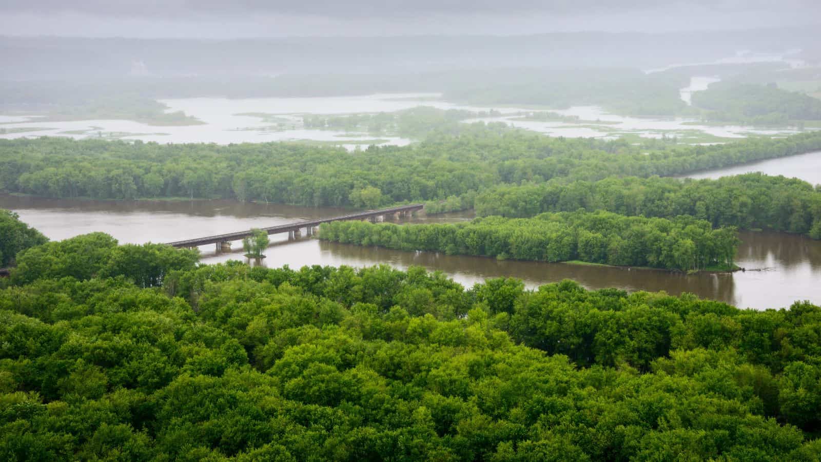A wide view of a flooded river surrounded by dense green trees, with a long bridge crossing the water and mist in the distance under an overcast sky.