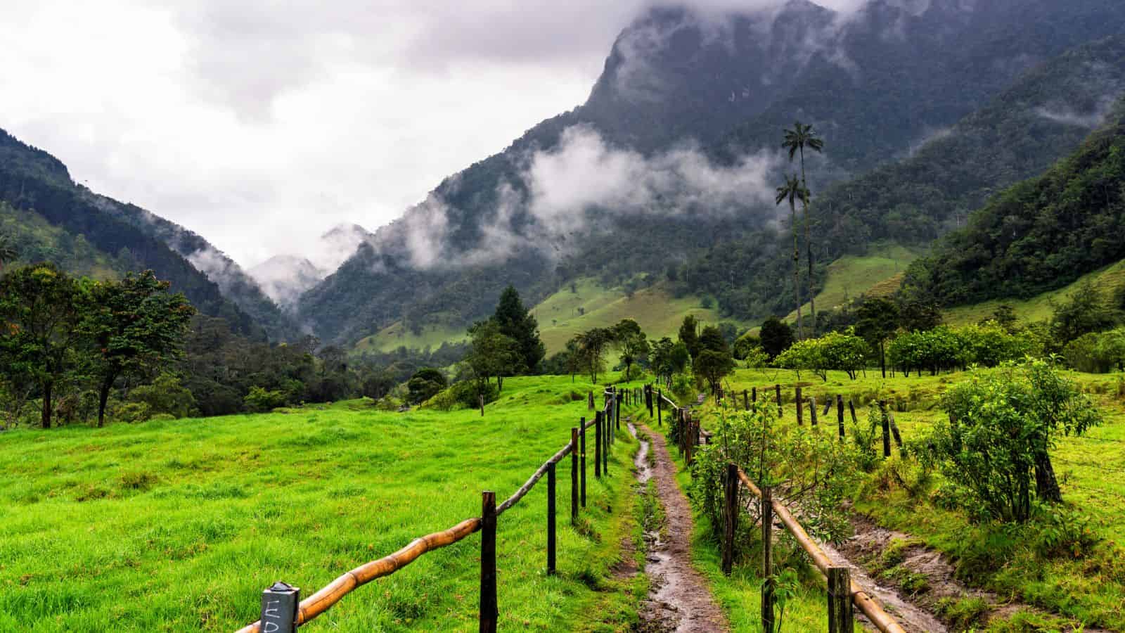 A muddy trail winds through lush green hills with misty mountains and clouds in the background.