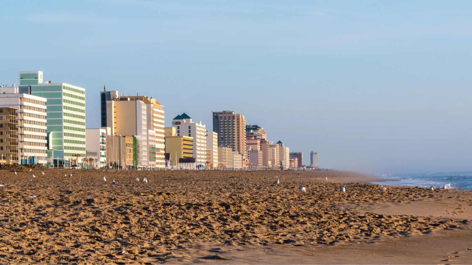 A sandy beach with scattered seagulls in the foreground, several mid-rise hotels and buildings lined up along the left, and the ocean visible to the right under a clear sky.