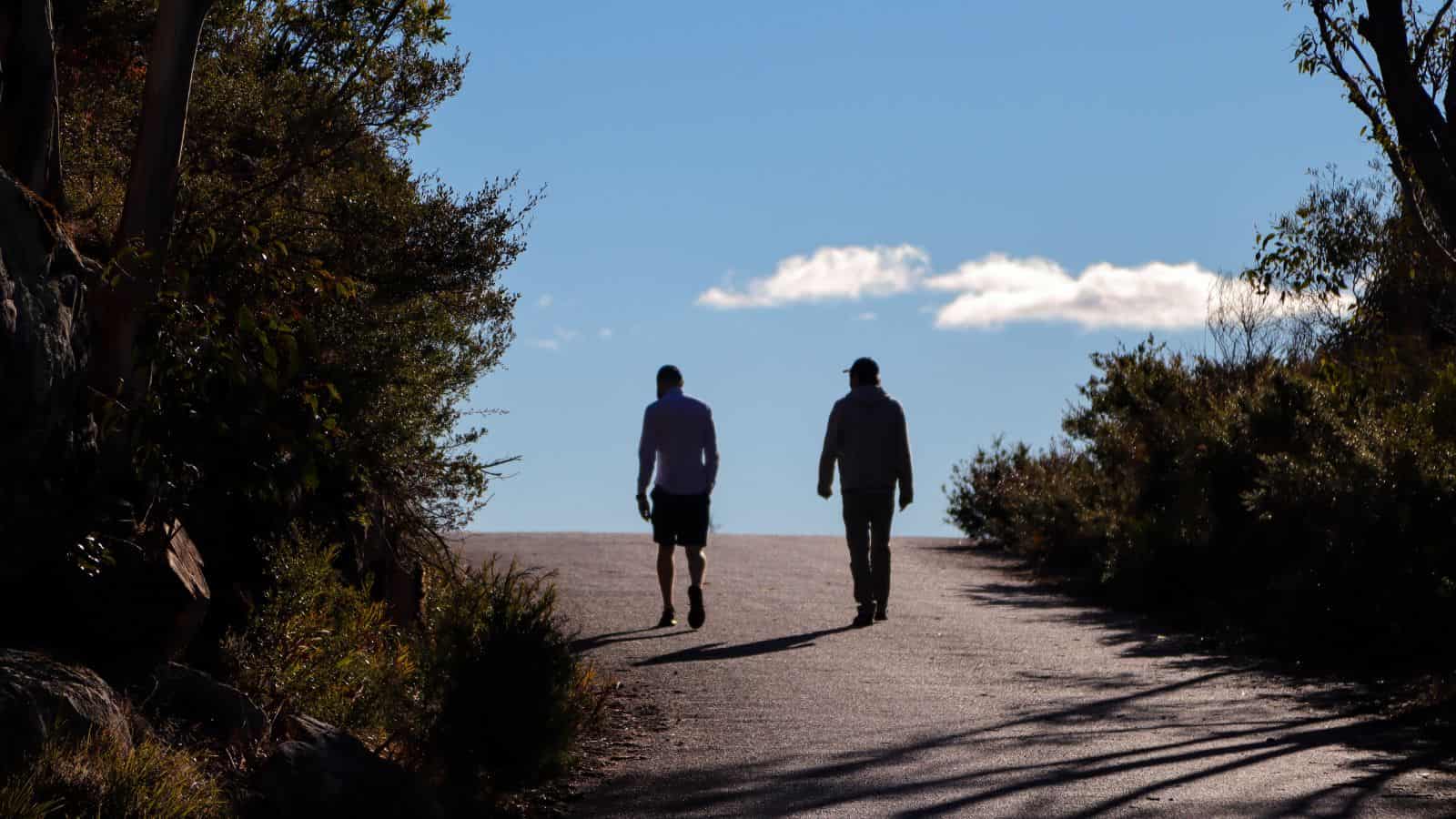 Two people walk up a sunlit path surrounded by trees under a clear blue sky with a few clouds.