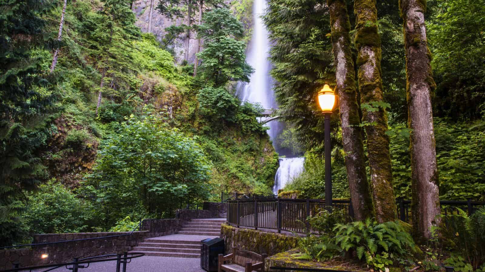Lamp post and forested path leading to a tall waterfall surrounded by lush green trees and foliage.