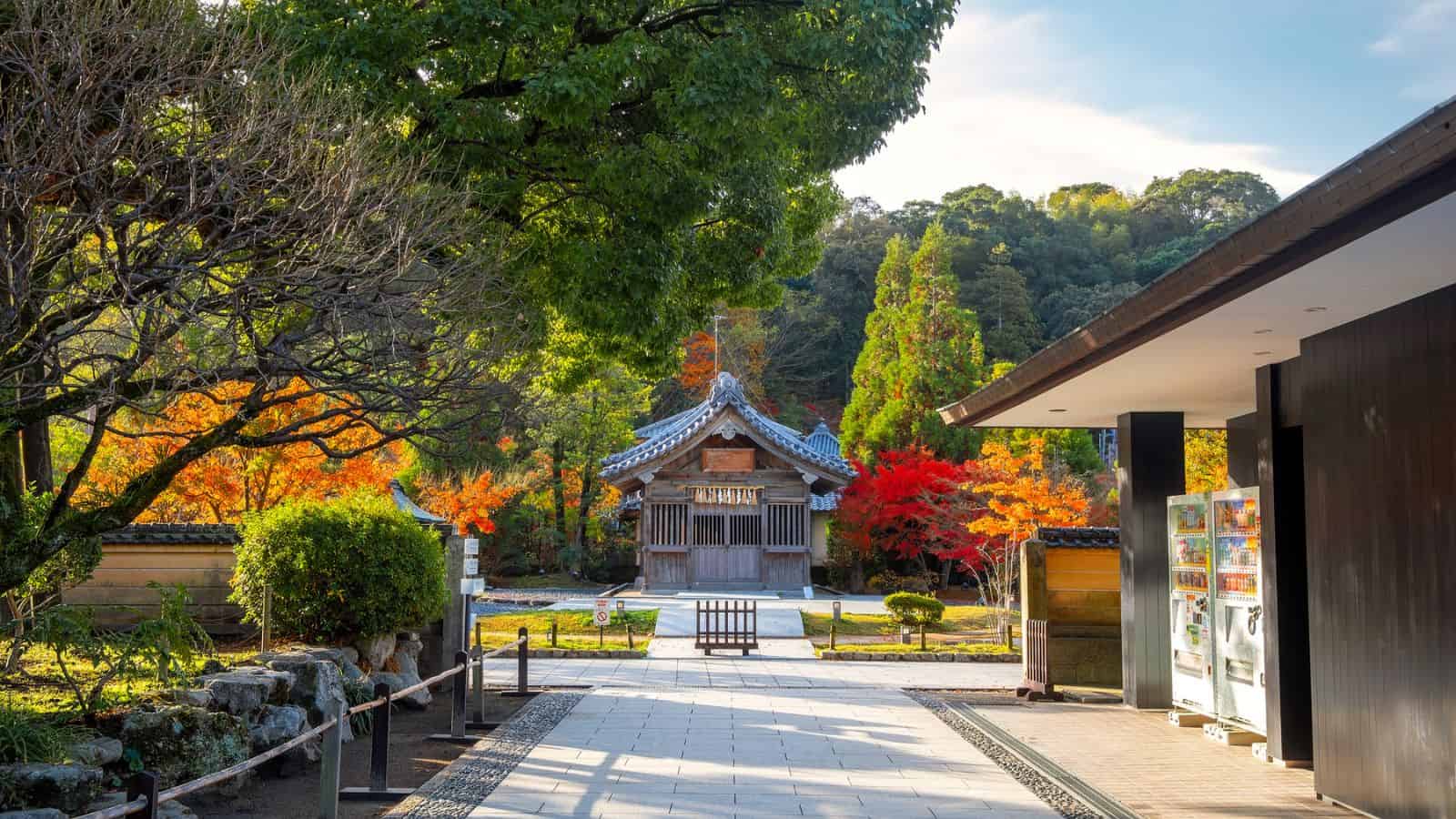 A traditional Japanese building with autumn trees and a vending machine in a peaceful garden setting.