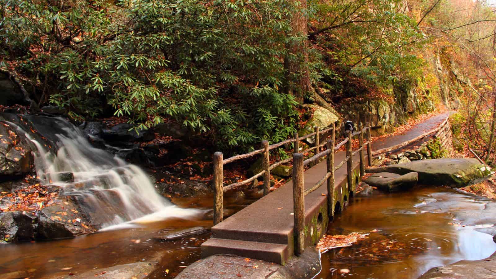 A wooden footbridge crosses a stream beside a small waterfall in a forest with autumn leaves.