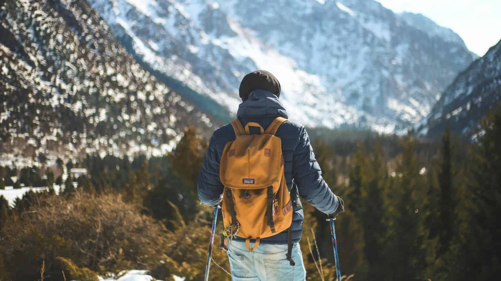 Person with a backpack hiking in snowy mountains, surrounded by trees and rocky peaks under a blue sky.