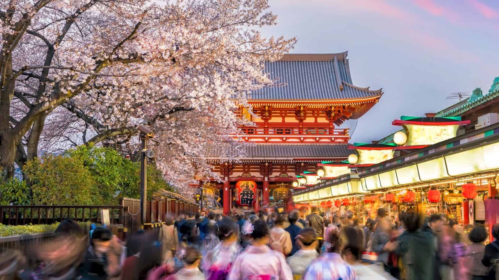Crowds walk under cherry blossoms by a traditional Japanese temple and market at sunset.