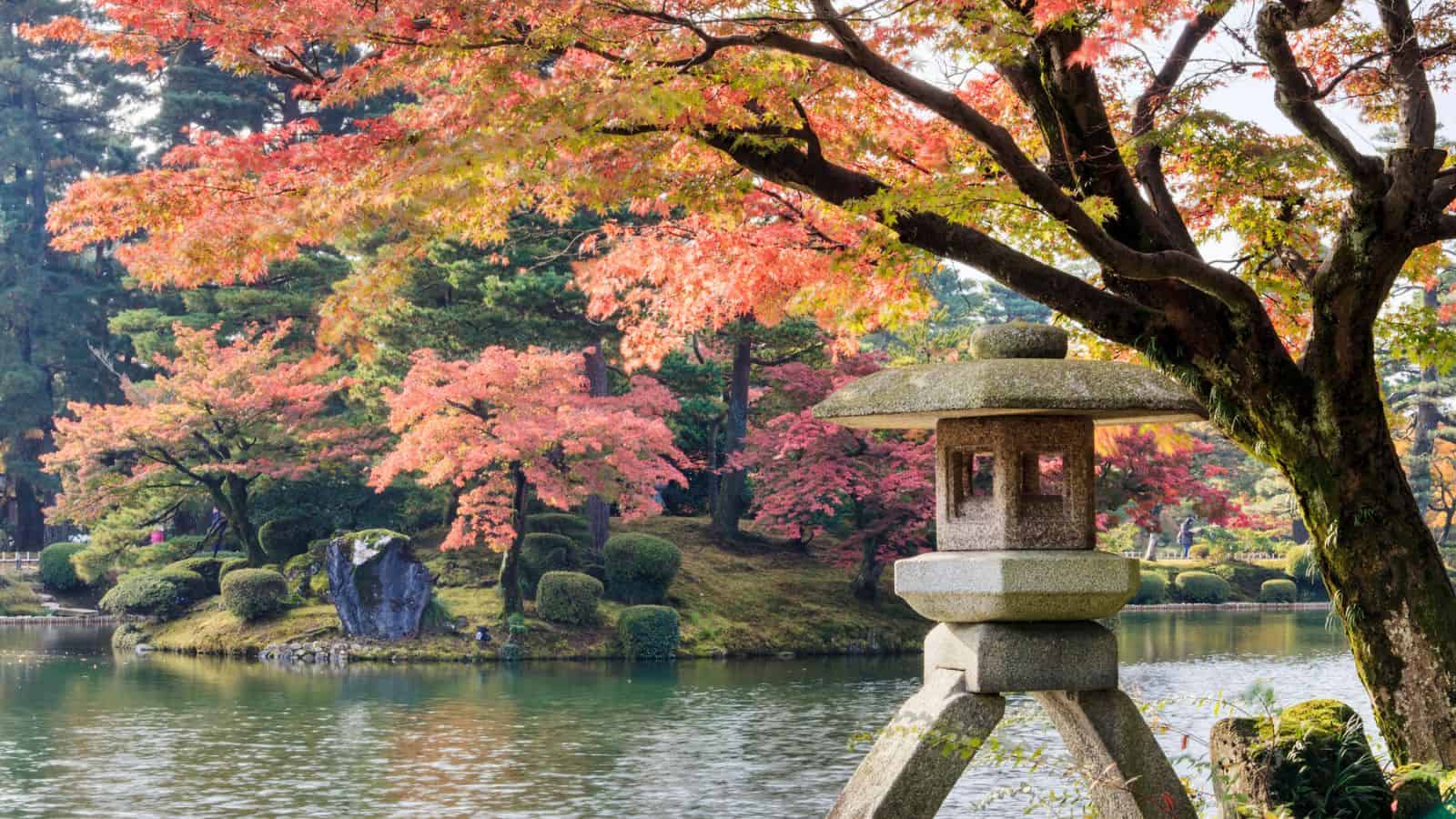 Stone lantern by a pond with vibrant autumn foliage in a Japanese garden.