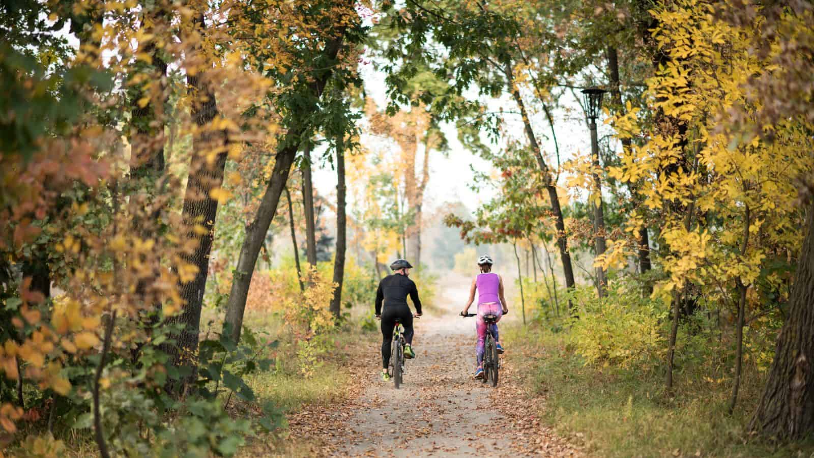 Two people ride bicycles down a tree-lined path surrounded by autumn foliage.