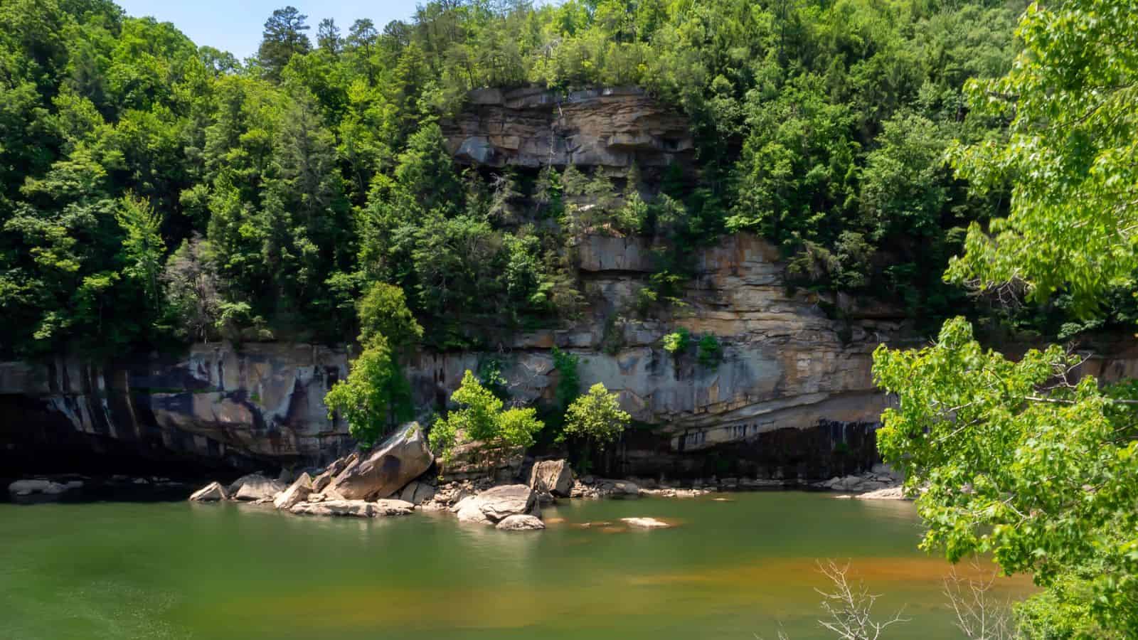 Steep, rocky cliff covered with trees rises above a calm river with large rocks near the shore.
