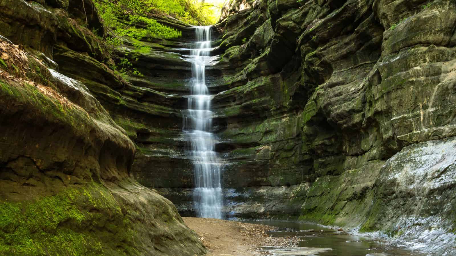 A narrow waterfall flows down layered rock walls into a shallow pool surrounded by green moss and foliage.