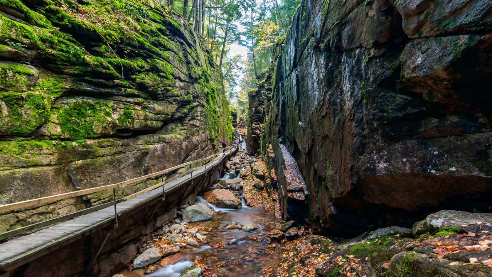 Narrow wooden walkway through a mossy, rocky gorge with a stream and autumn leaves.