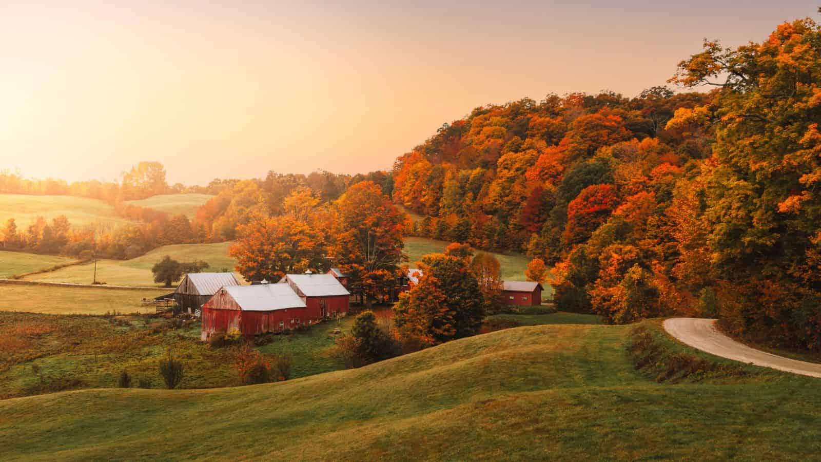 Sunrise over a rural farm with red barns and autumn trees on rolling green hills.