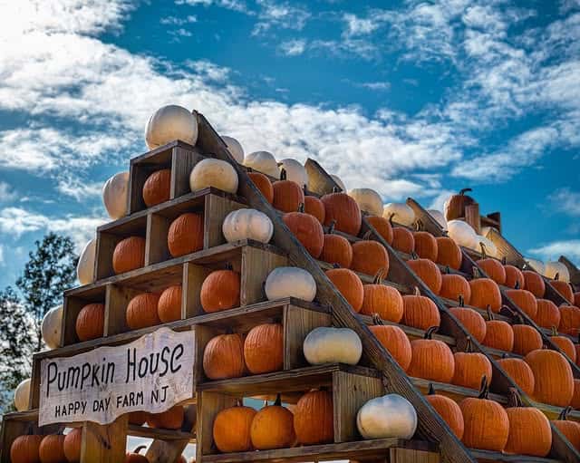 Wooden structure stacked with orange and white pumpkins at one of the best pumpkin patches; sign reads “Pumpkin House, Happy Day Farm NJ.”.