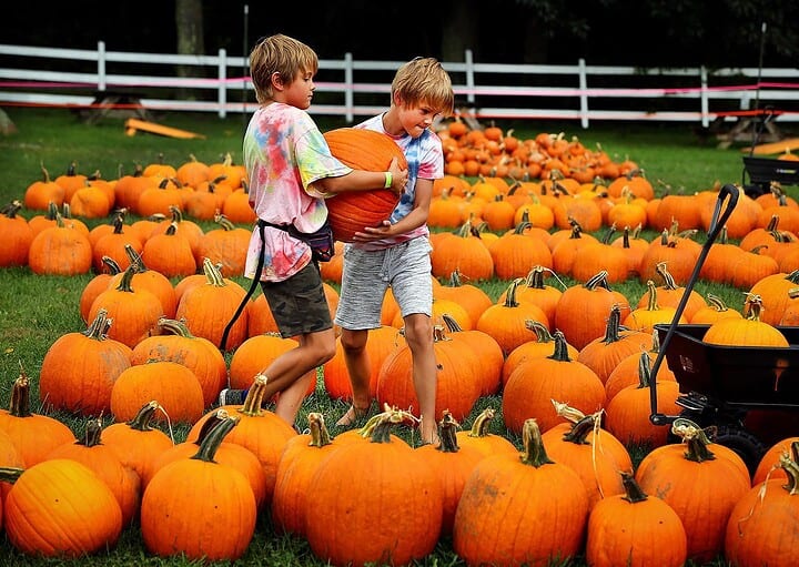 Two children lift a large pumpkin together in a field full of bright orange pumpkins at one of the best pumpkin patches around.
