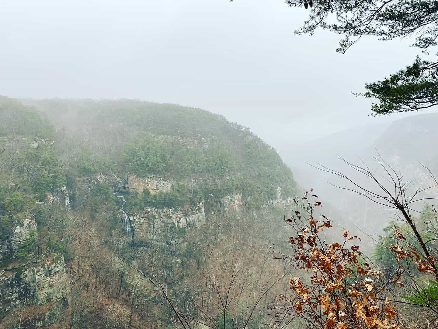 Misty cliffs covered with trees and sparse foliage on a foggy day, with branches in the foreground—capturing the serene beauty of one of the best mountain getaways.