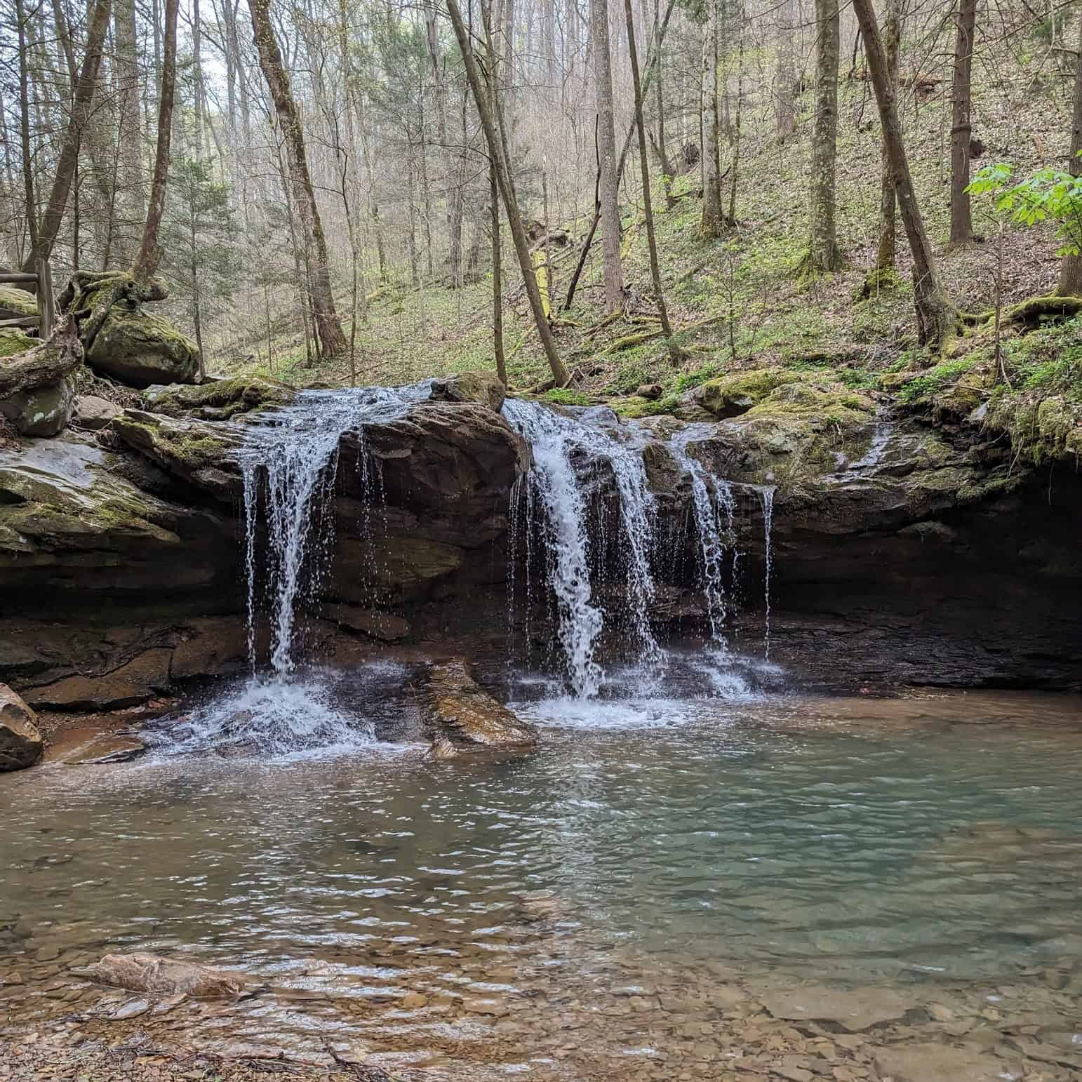 Small waterfall cascading over rocks into a clear, shallow pool, surrounded by a forest with tall trees—perfect for those seeking the best mountain getaways.